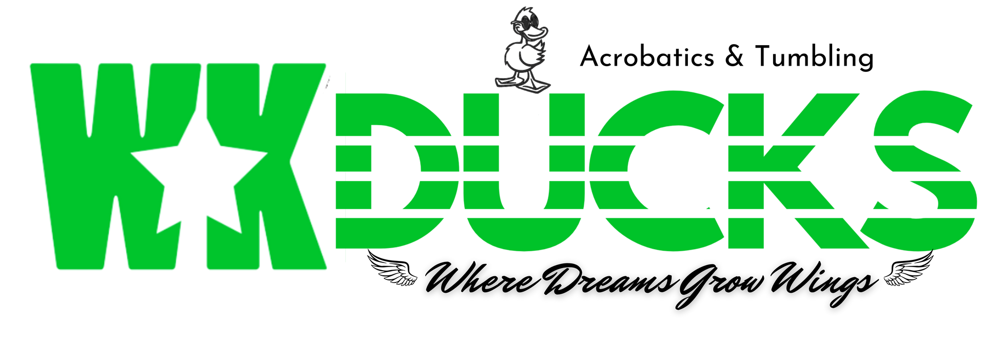 A green logo for a company called wx ducks