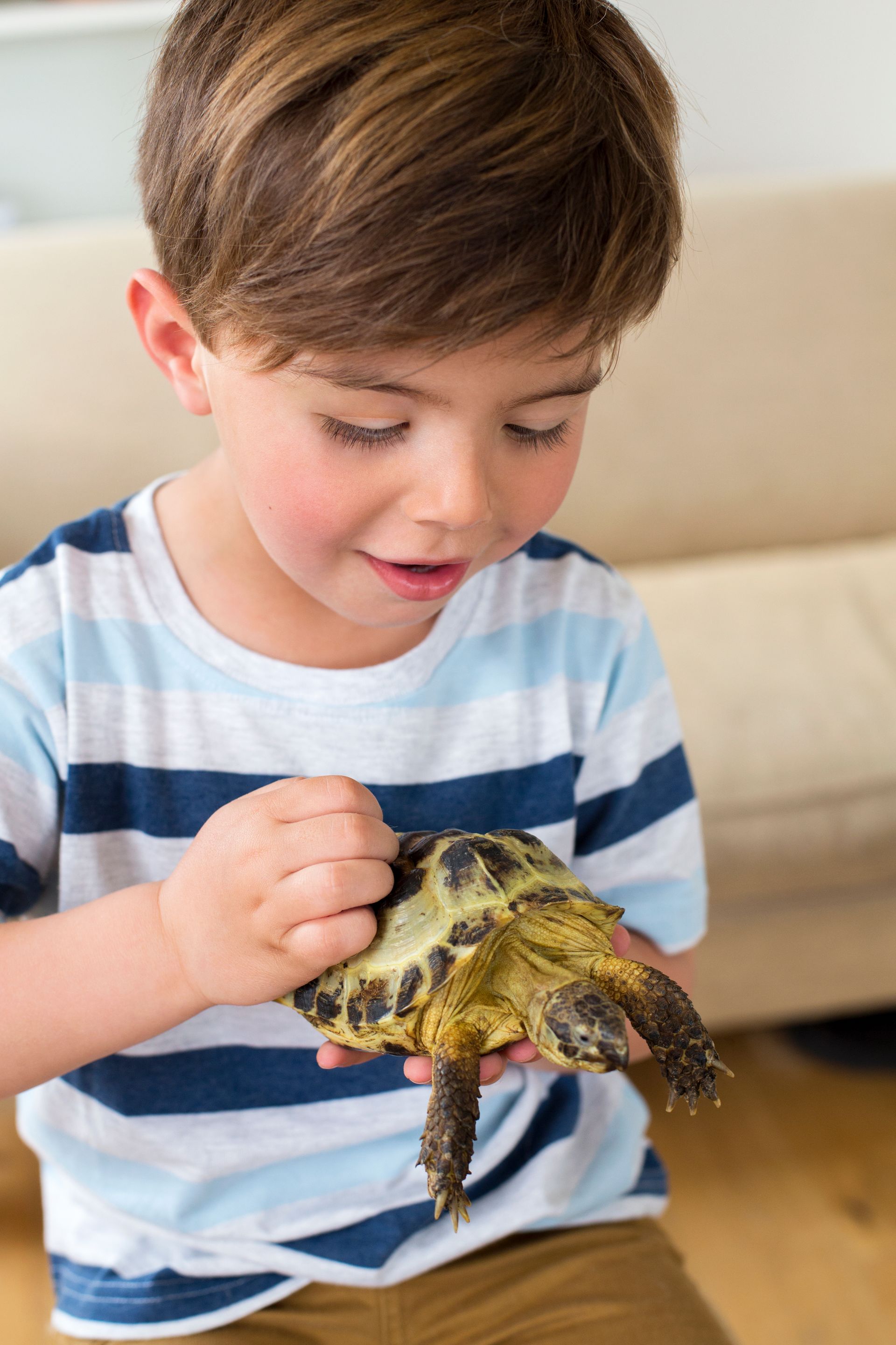 A young boy is holding a small turtle in his hands.