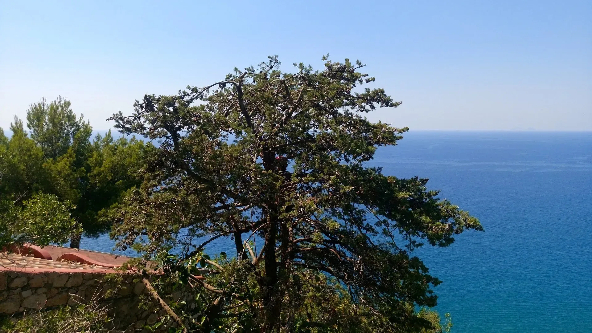 Ridimensionamento chioma