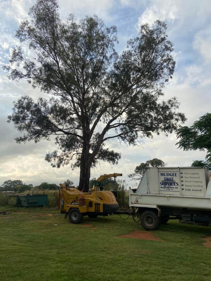 A Tree Chipper Is Sitting Next to A Dump Truck in A Grassy Field — Mudgee Tree Services in Eurunderee, NSW