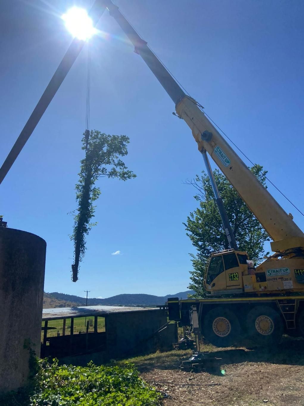 A Large Yellow Crane is carrying a tree — Mudgee Tree Services in Dubbo, NSW