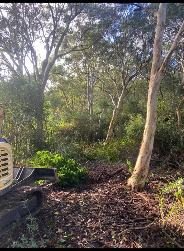 A White Truck Is Parked in A Dirt Lot with Trees in The Background — Mudgee Tree Services in Eurunderee, NSW