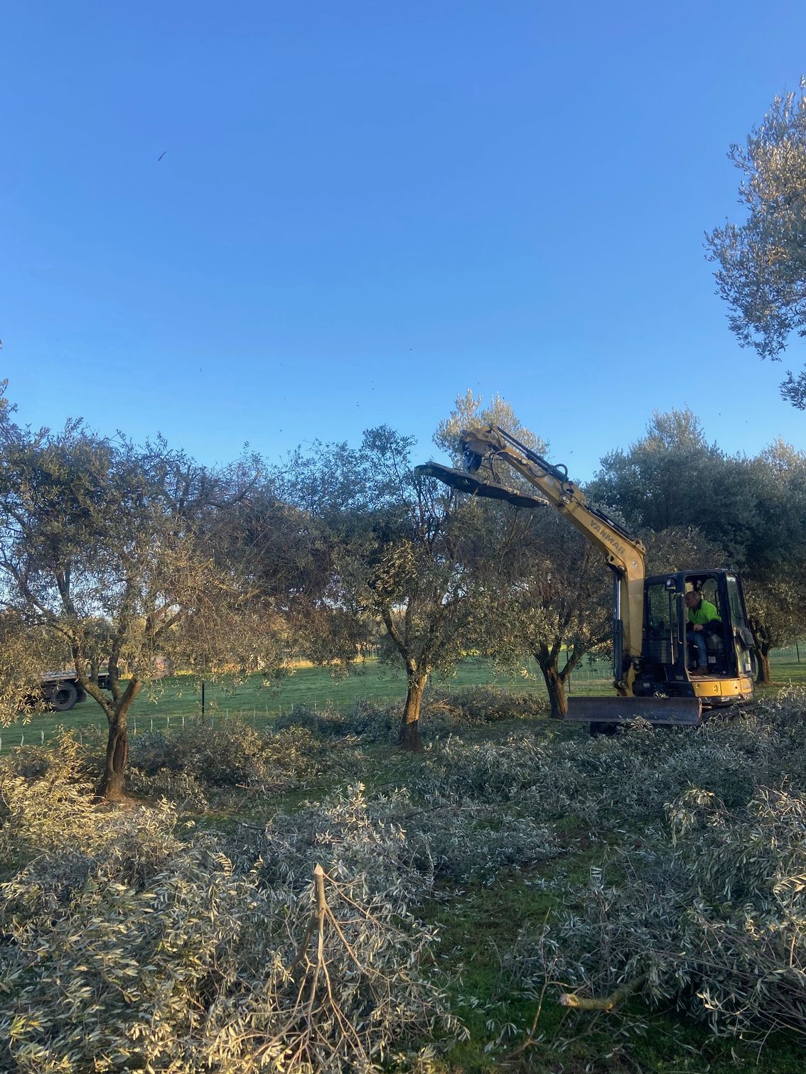 A digger is in a backyard surrounded around trees — Mudgee Tree Services in Eurunderee, NSW