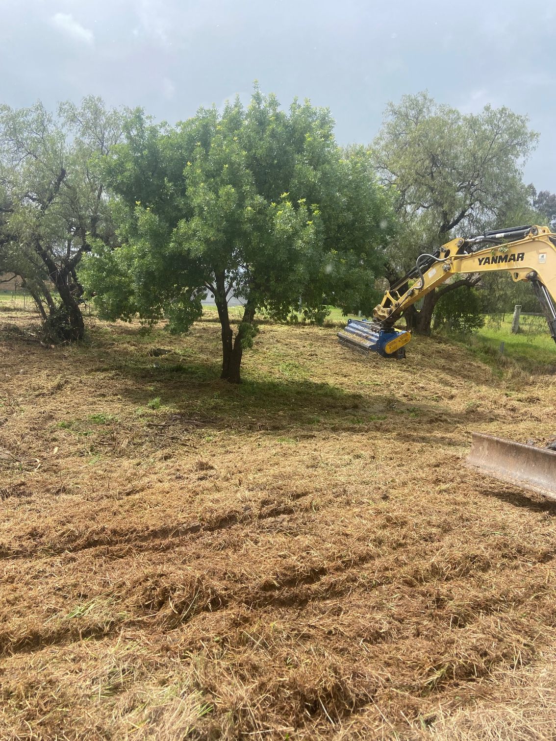 A Dirt Road Going Through a Forest with Trees in The Background — Mudgee Tree Services in Eurunderee, NSW