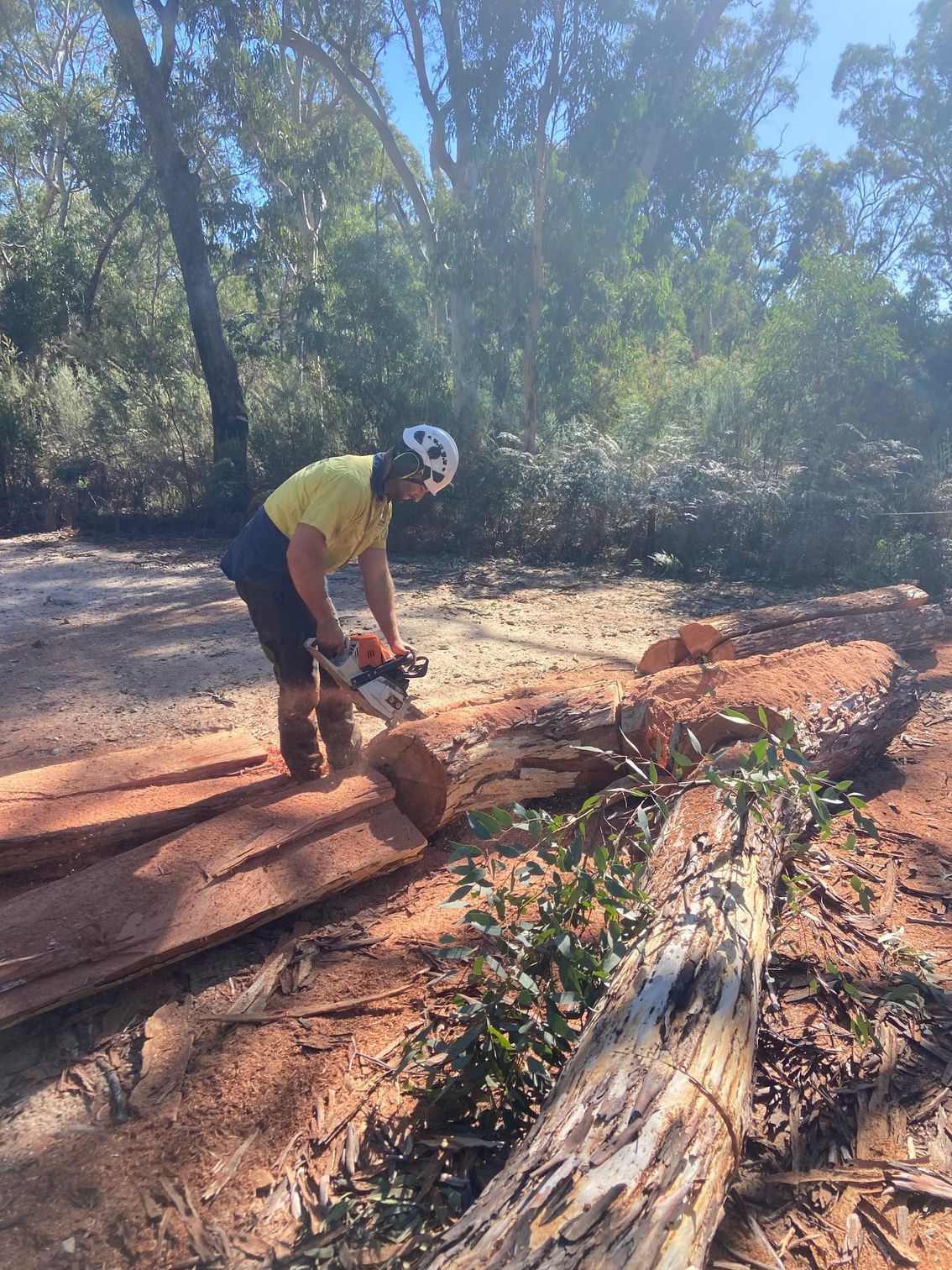 A Man Is Chopping a large tree trunk with chainsaw — Mudgee Tree Services in Coonabarabran, NSW