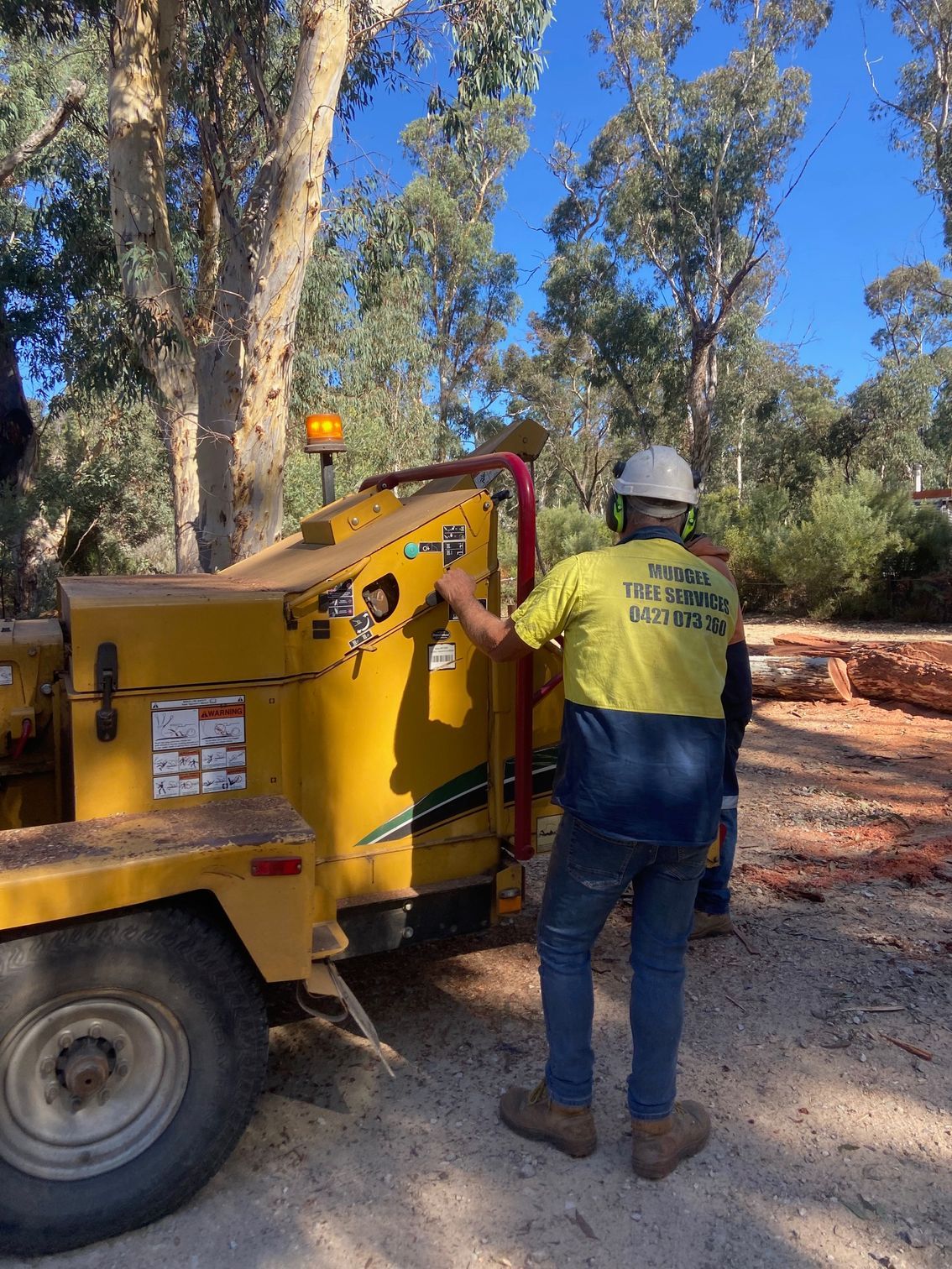 man manning the wood chipper— Mudgee Tree Services in Eurunderee, NSW