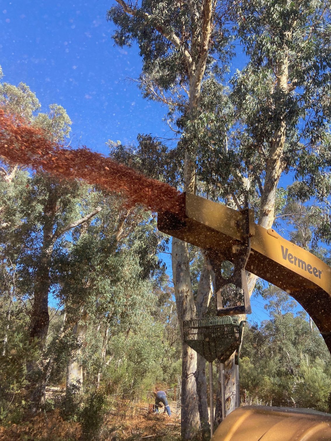 A Wood Chipper machine is shooting out mulch — Mudgee Tree Services in Eurunderee, NSW