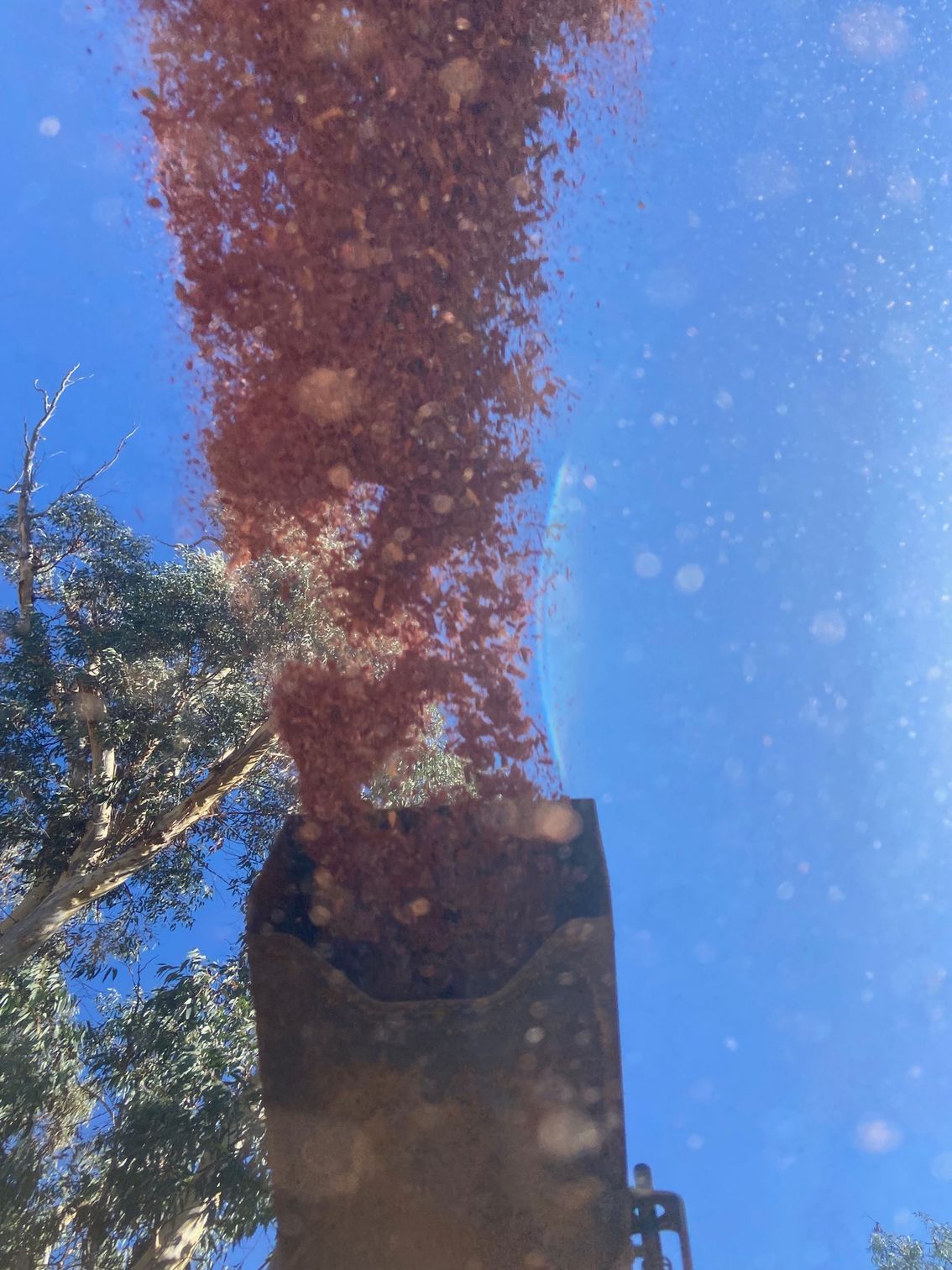 A Machine is shooting out mulch  — Mudgee Tree Services in Parkes, NSW