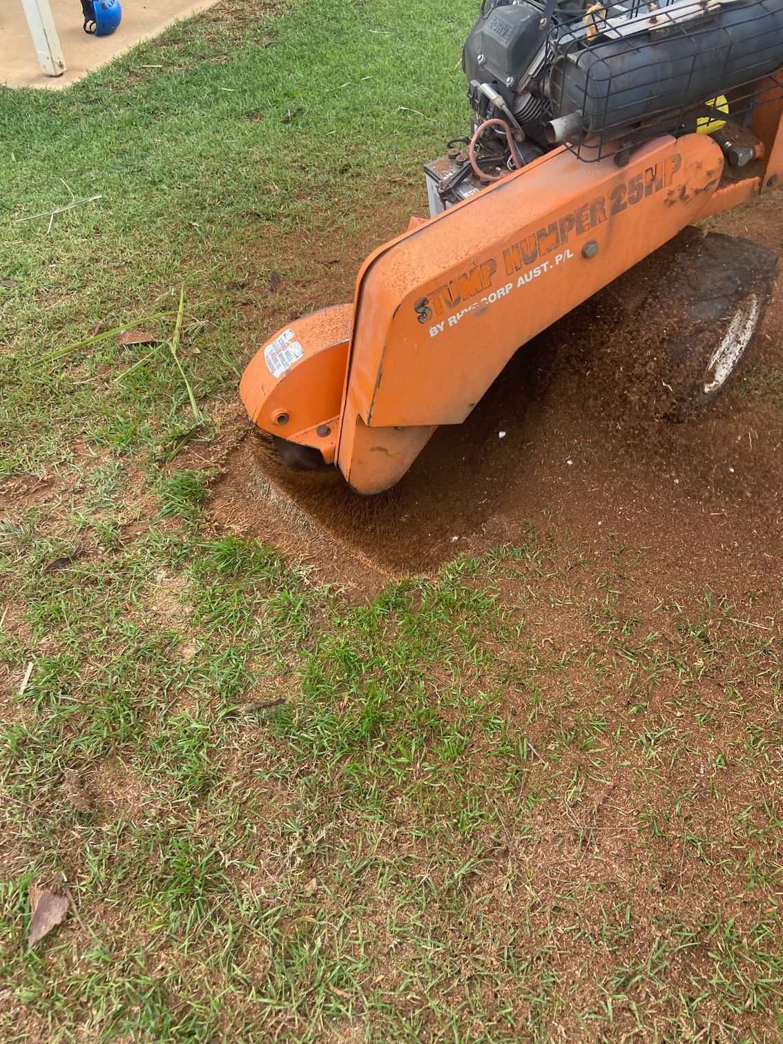 A Yellow Stump Grinder Is Cutting a Tree Stump in A Lawn — Mudgee Tree Services in Eurunderee, NSW