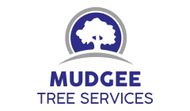 Arborist in Mudgee