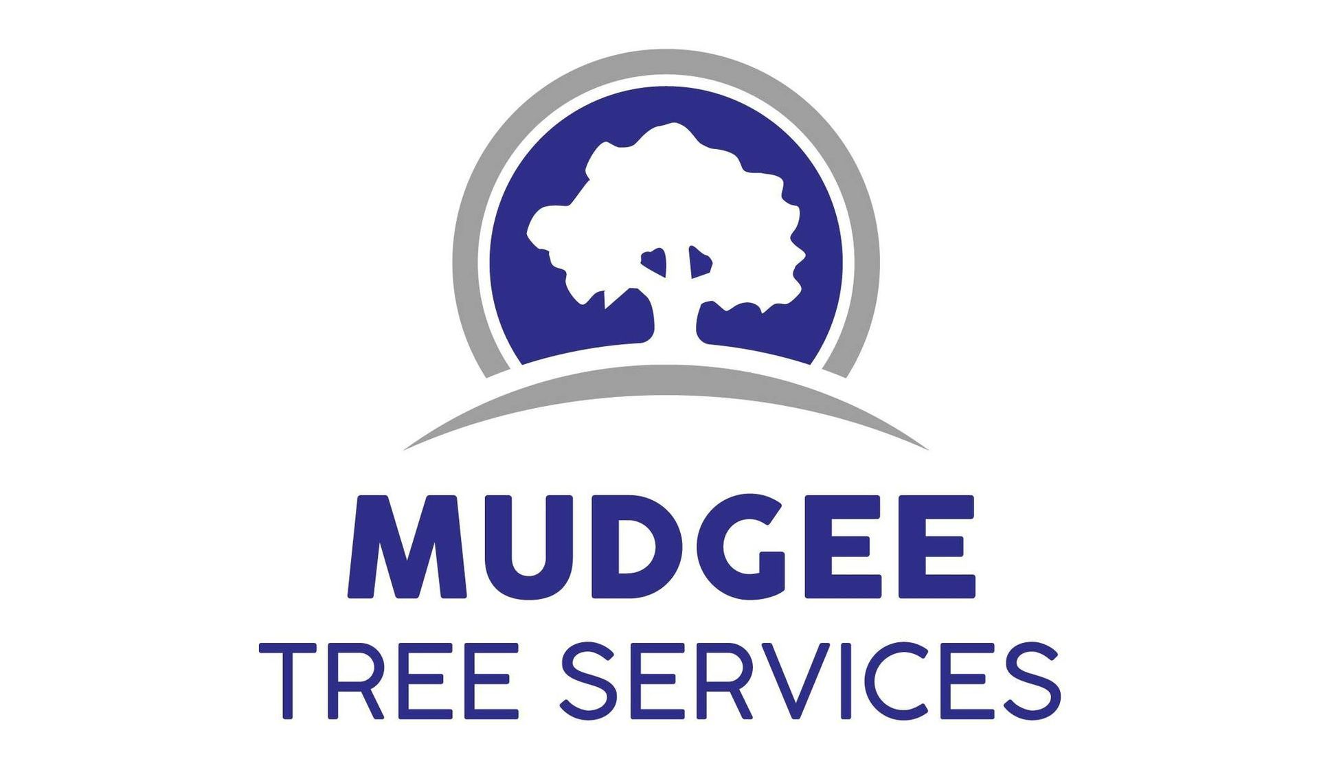 Arborist in Mudgee