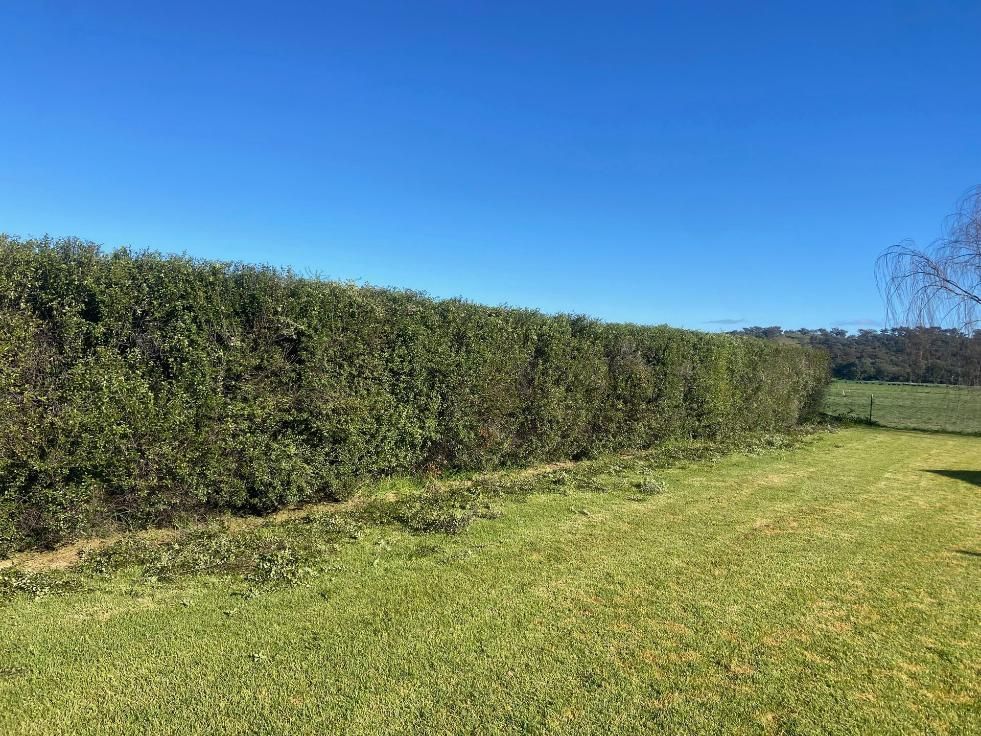 A Lush Green Field With a Hedge — Mudgee Tree Services in Eurunderee, NSW