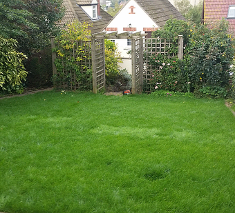 lawn and back garden