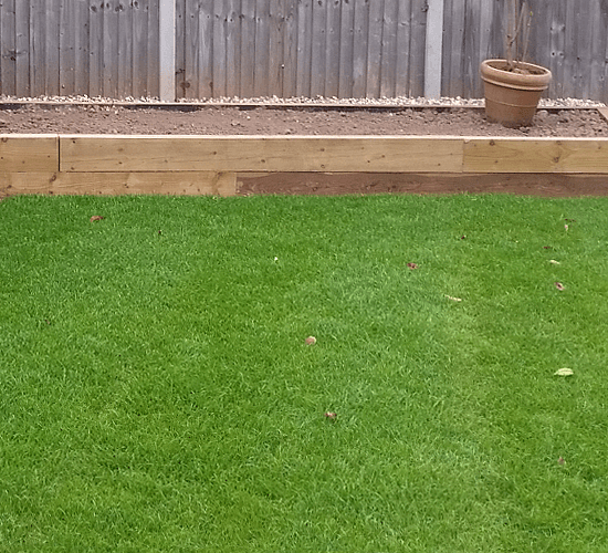 lawn and raised garden bed