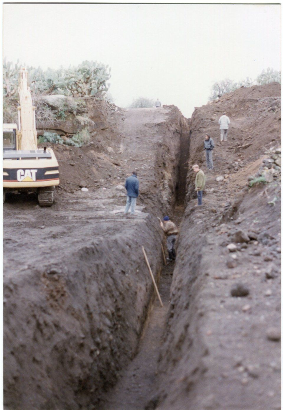 Operatori dell'azienda