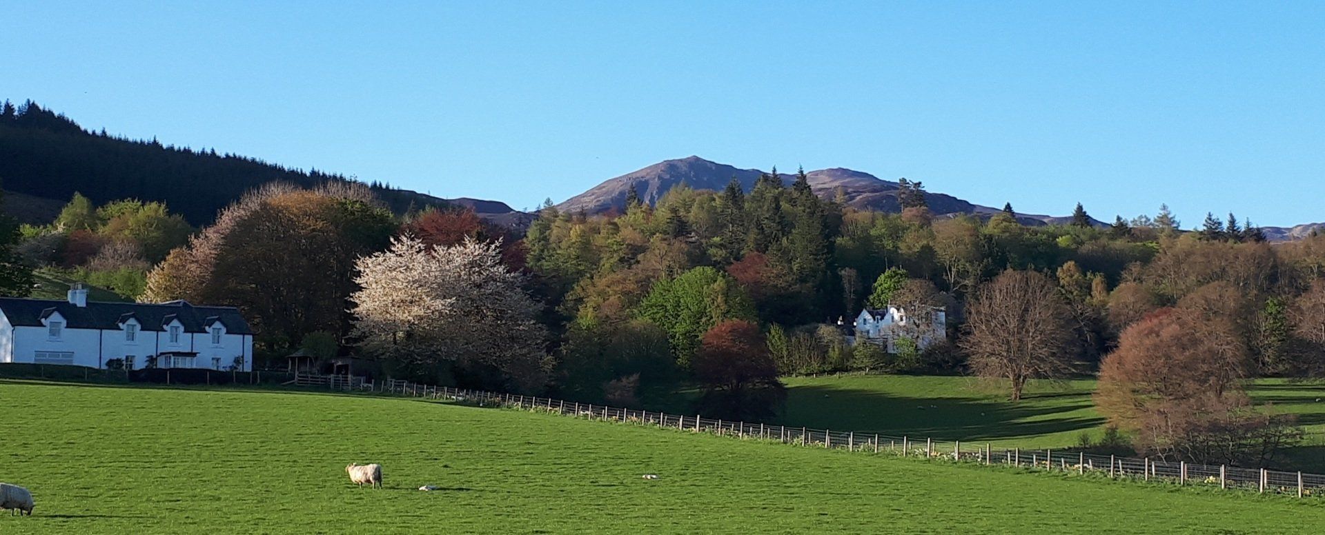 Ben Vrackie from Moulin, Perthshire