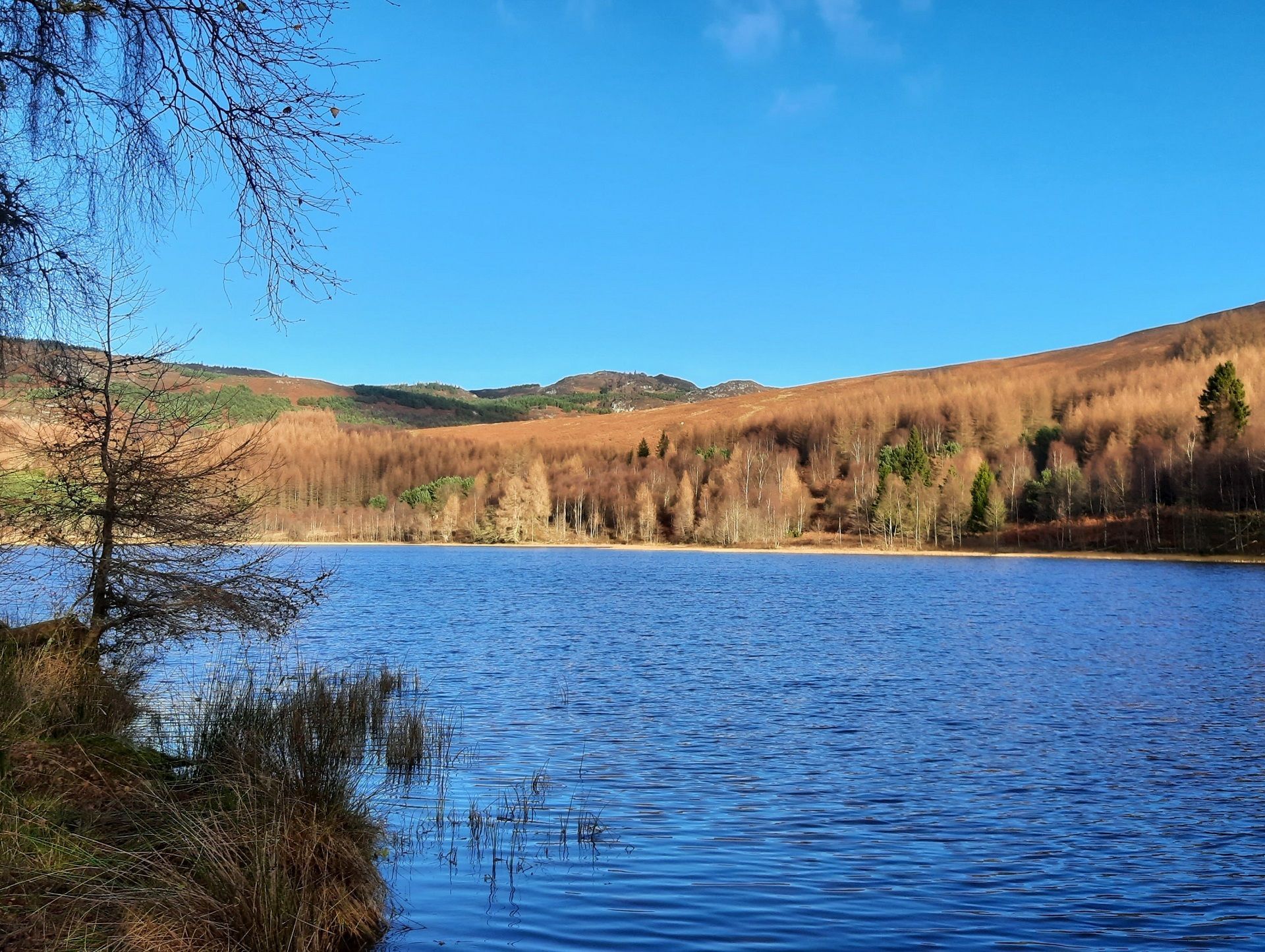 Deuchary Hill from Mill Dam (c) Perthshire Treks