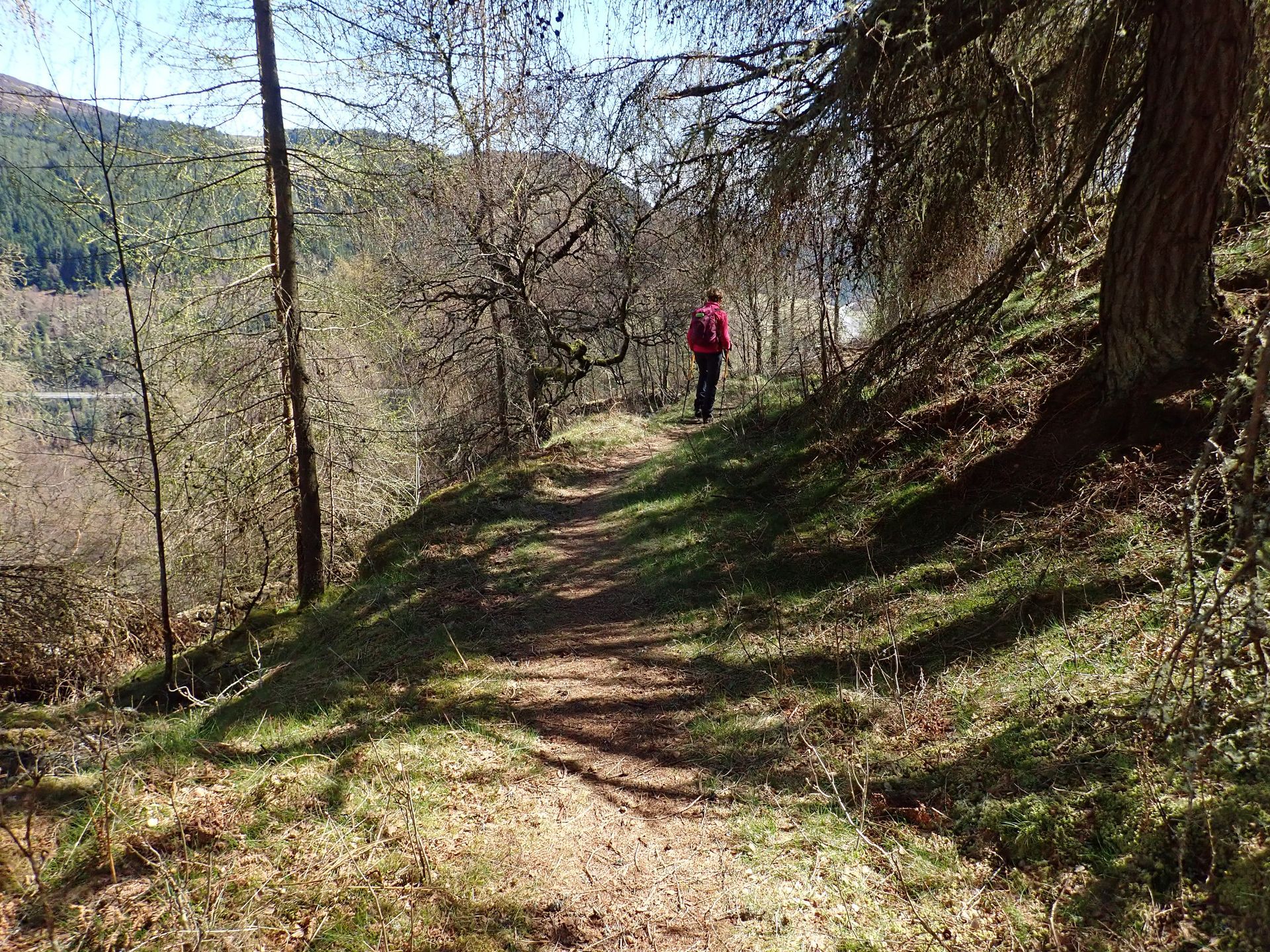 Ben Vrackie from Craig Fonvuick (c) Perthshire Treks