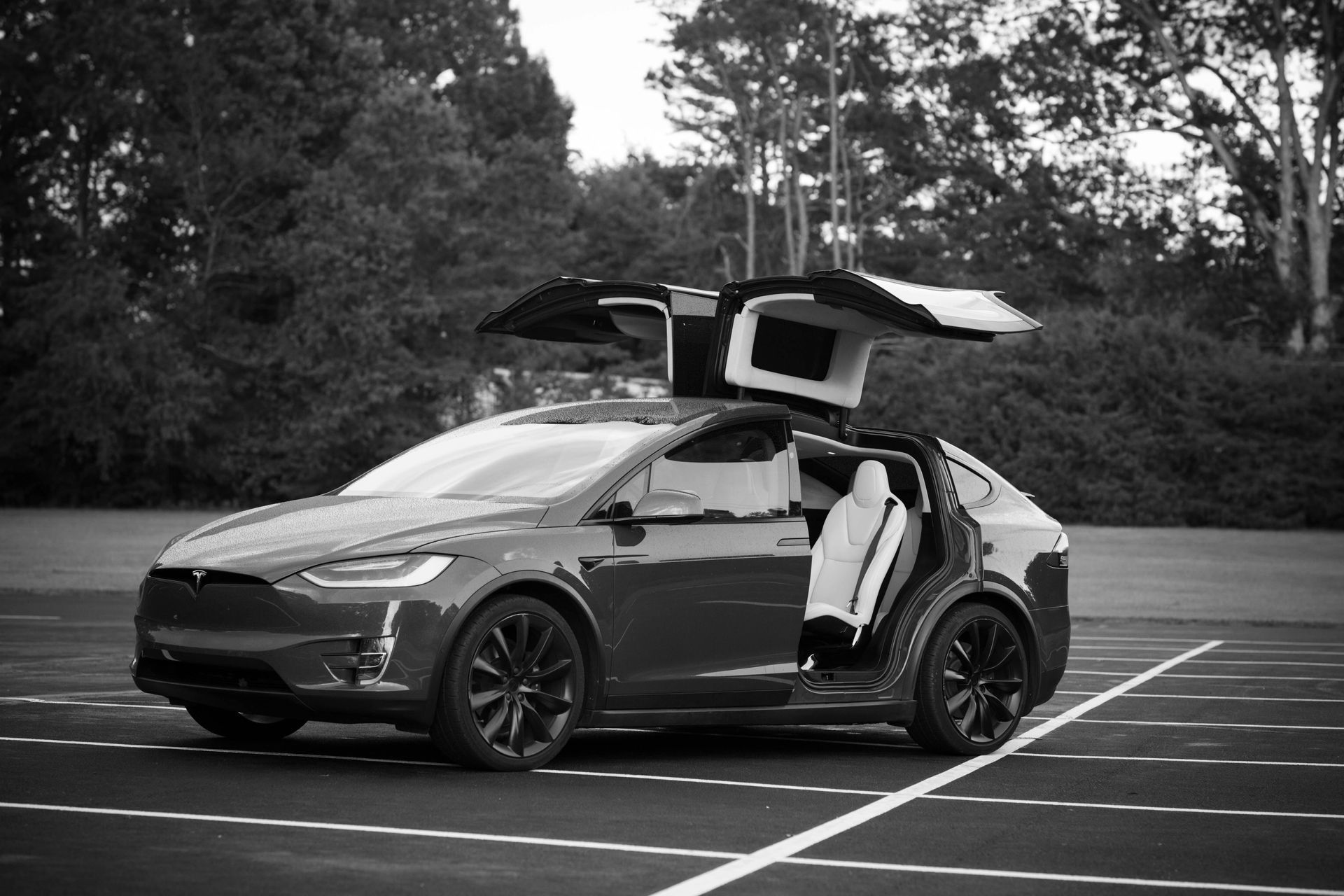 Can I Request a Tesla Test Drive? A Step-by-Step Guide