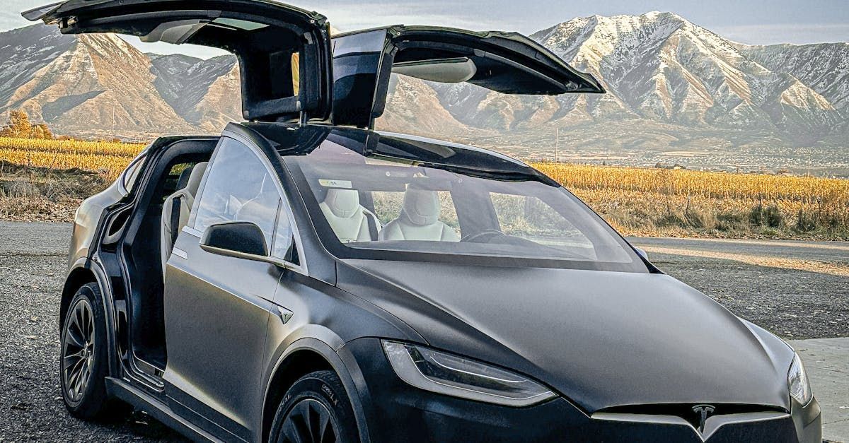 A black tesla model x is parked on the side of the road with its doors open.