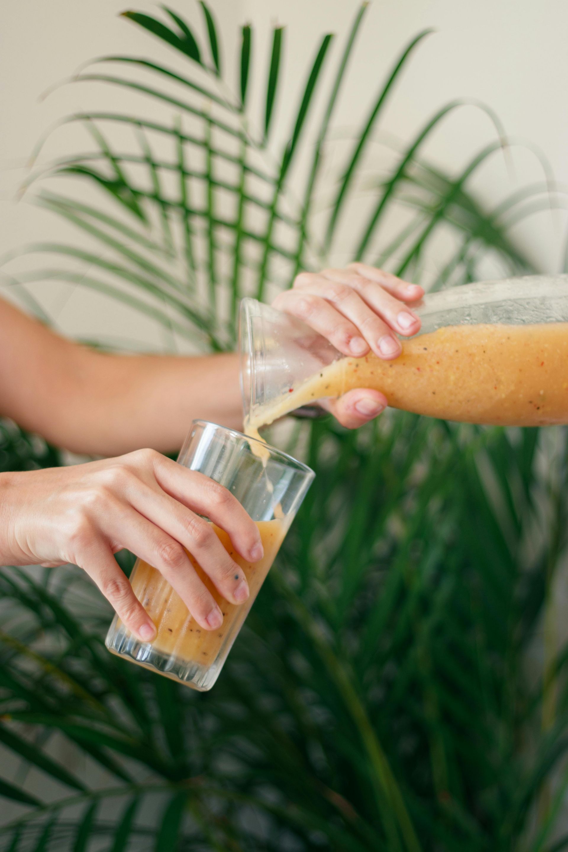 Persona vertiendo batido amarillo de una jarra en un vaso, con hojas de palmera en el fondo.