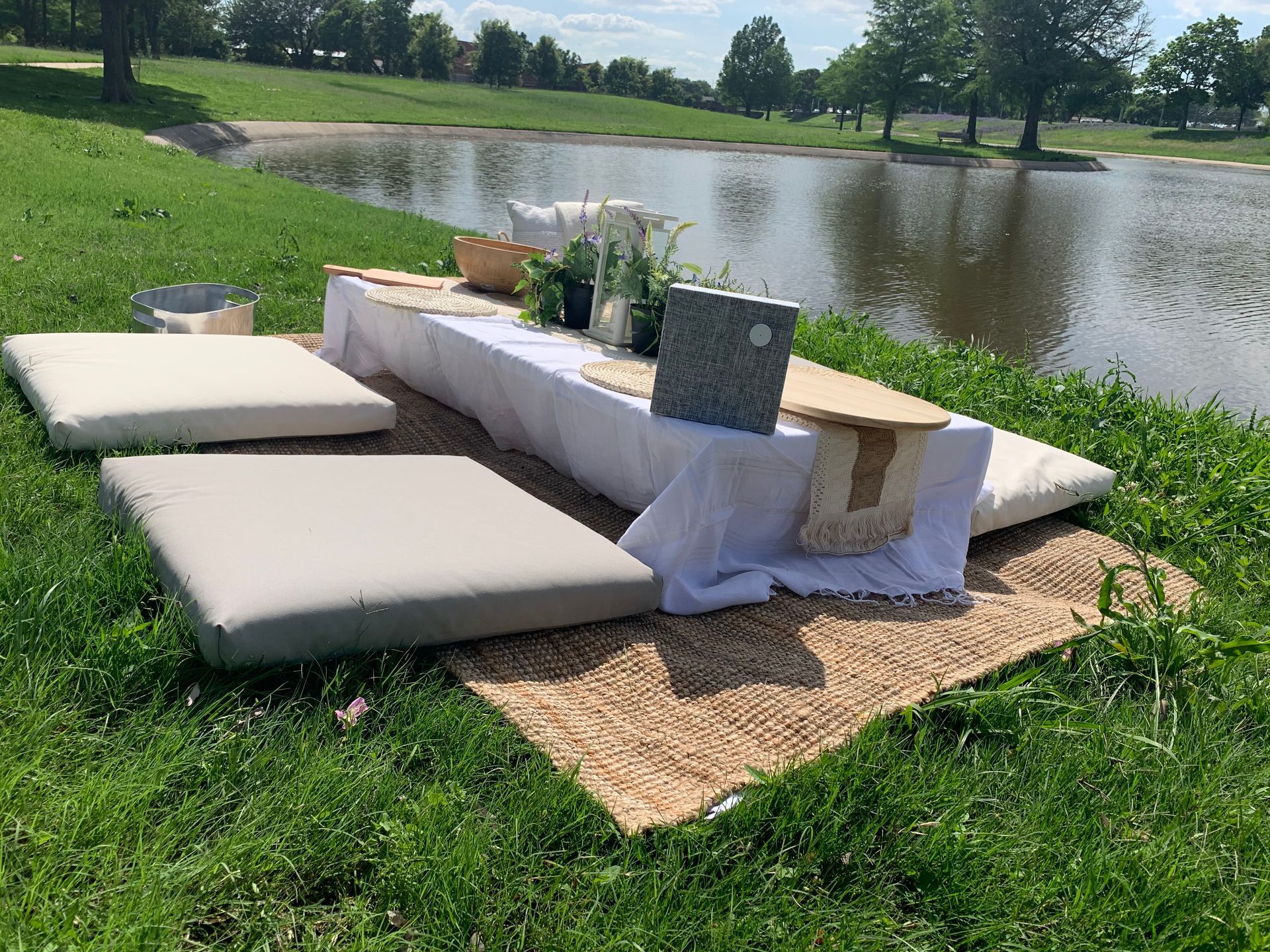Picnic Set up By the Lake — Dallas, TX — Social Project