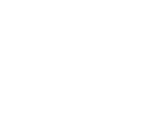 Social Project
