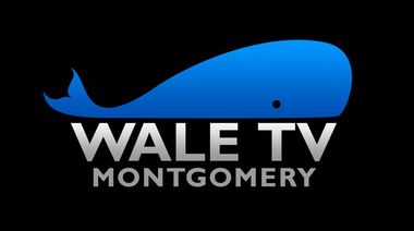 the wale tv logo