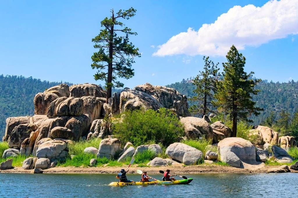 Kayakers paddle toward rocky shoreline with trees and blue sky.