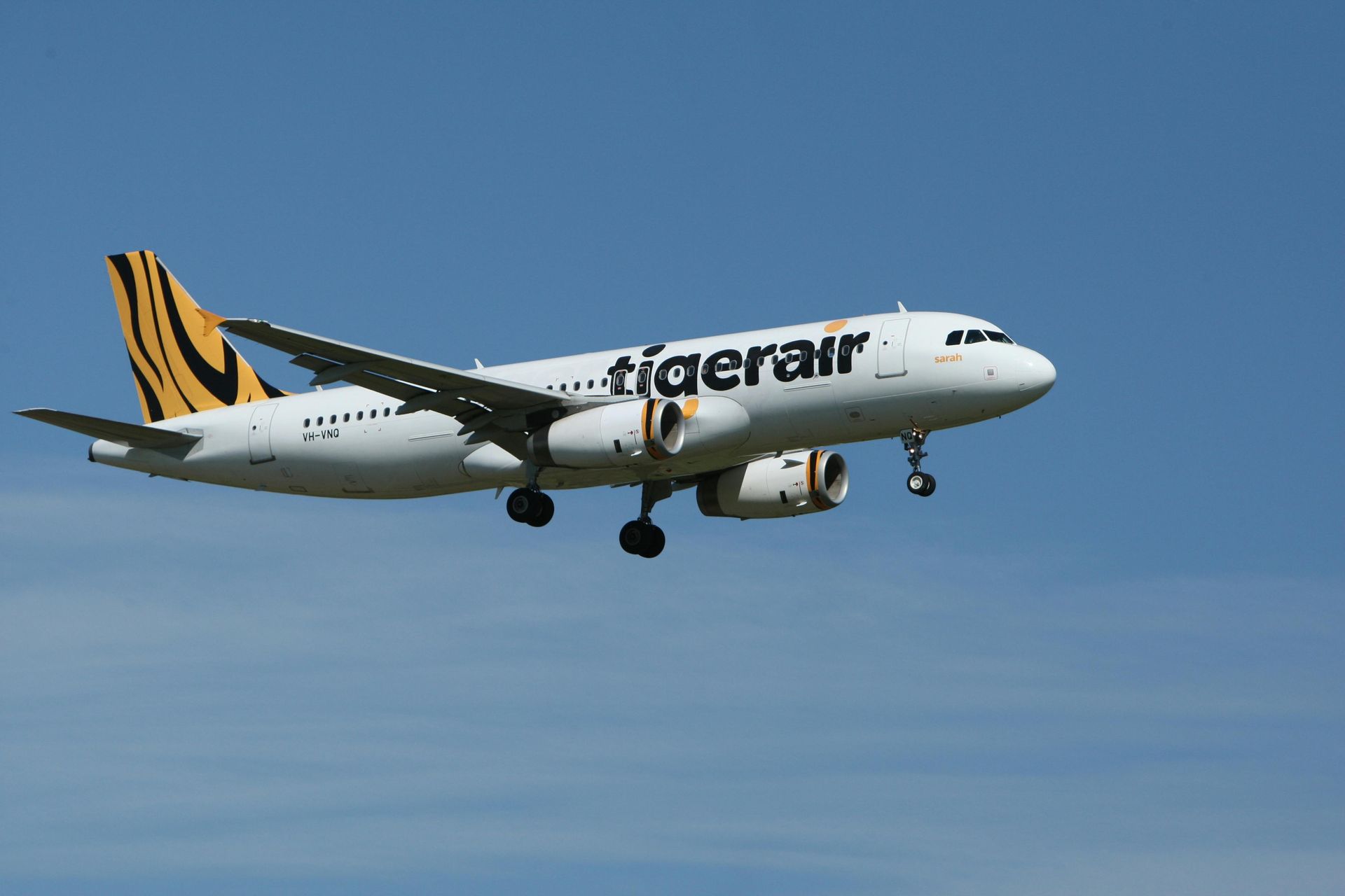 Tigerair airplane in flight, white with tiger stripe tail, under a blue sky.