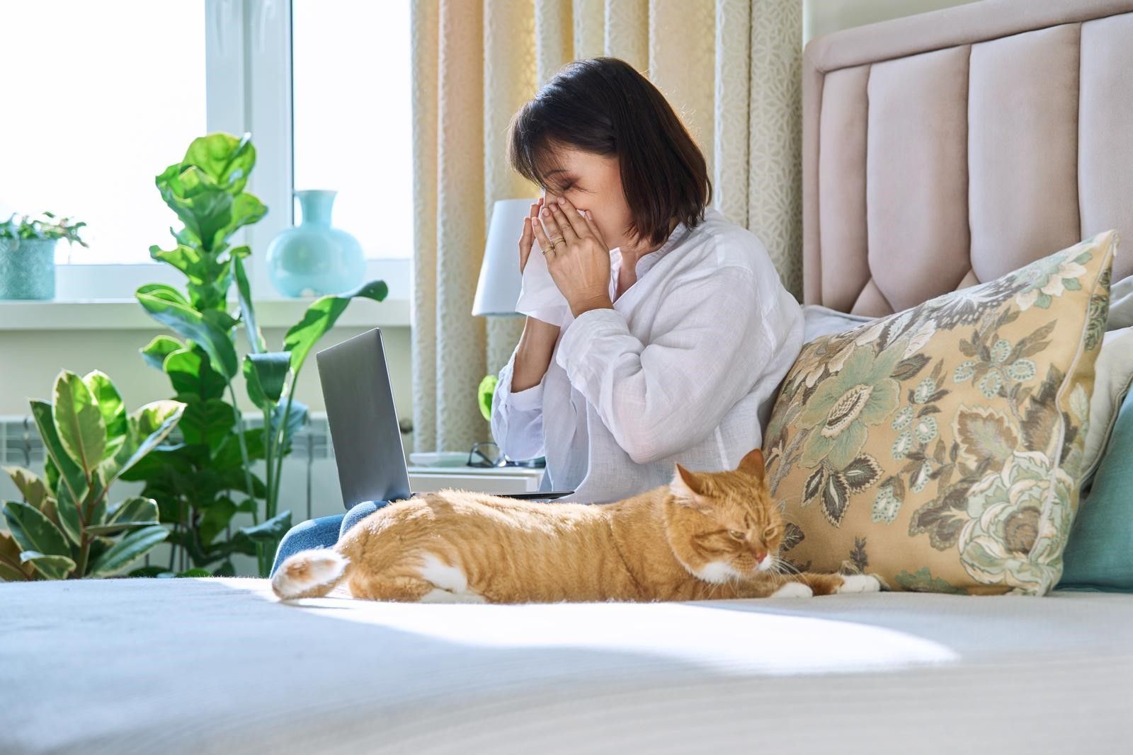 A woman suffering from allergy is sitting on a bed with a cat and blowing her nose