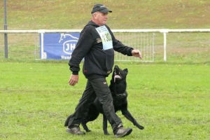Man in black walking a black dog on a grassy field; they appear to be participating in a training exercise.