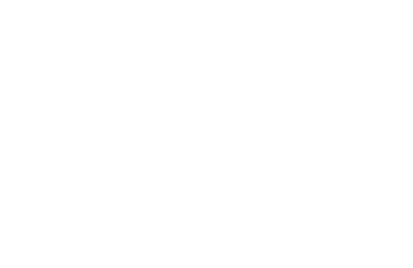 Pro Dog Service - Vom Haus Schair logo