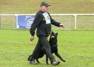 Black German Shepherd dog waling next to the owner.