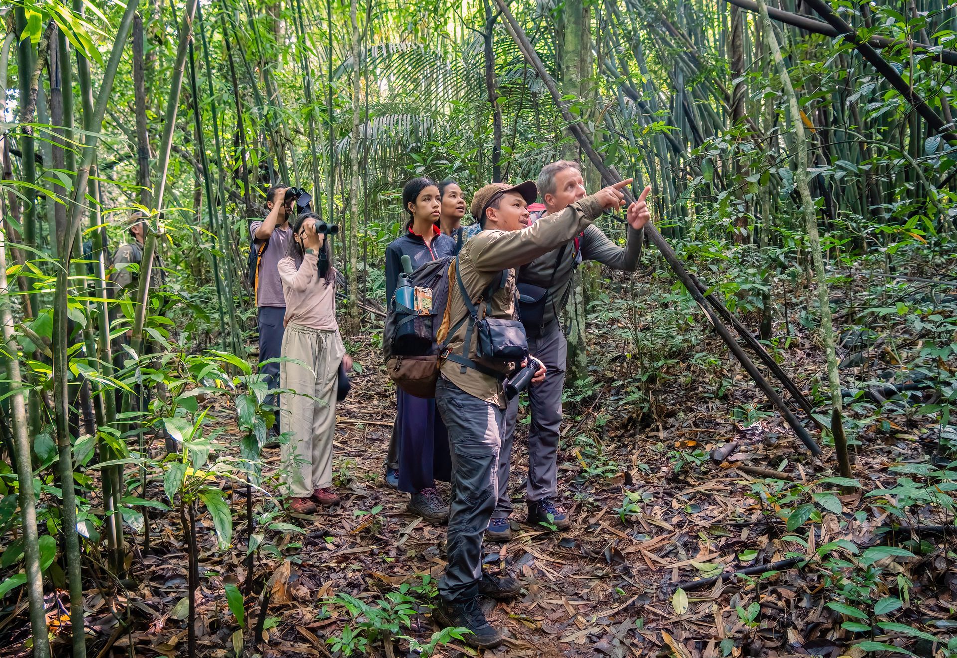 jahoo tour svc stays