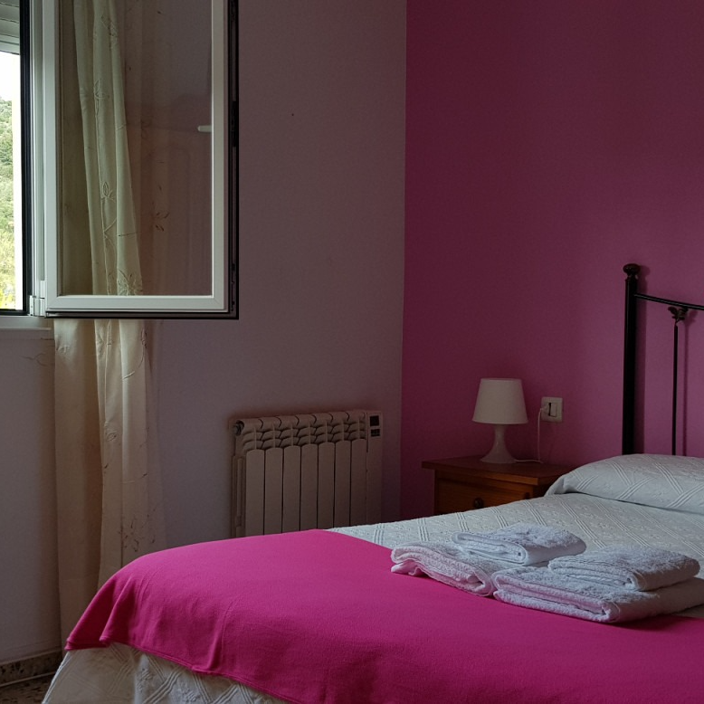 A bedroom with pink walls and a bed with a pink blanket