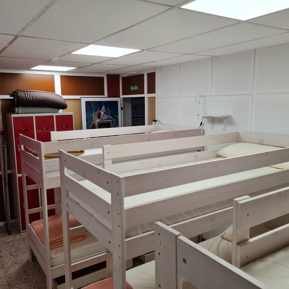 A bunch of bunk beds are lined up in a room
