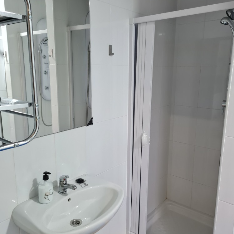 A bathroom with a sink a mirror and a shower stall