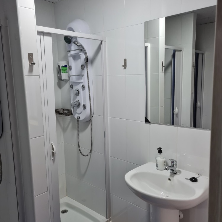 A bathroom with a sink a shower and a mirror