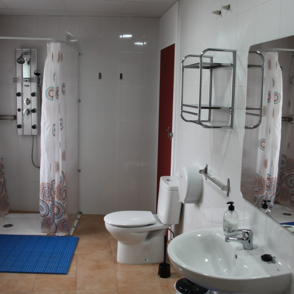A bathroom with a toilet a sink and a shower