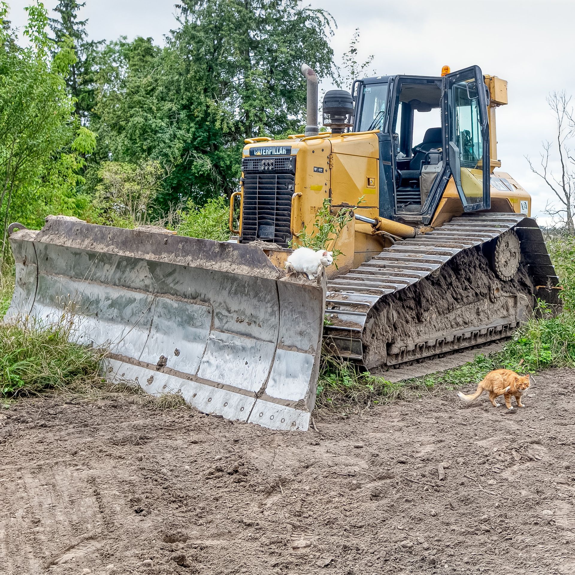 Buldozers CAT D6N
