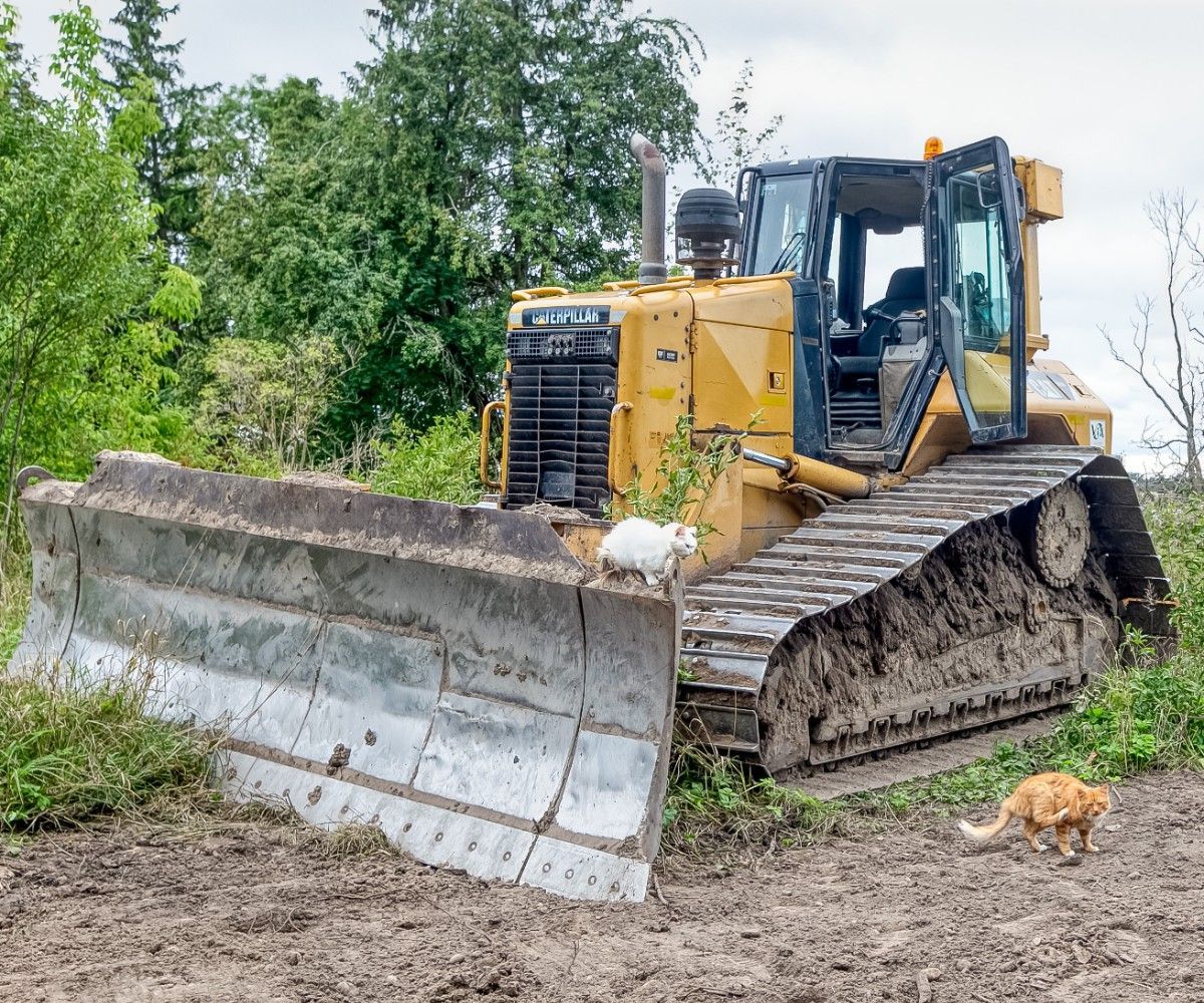 Bulldozer CAT D6N