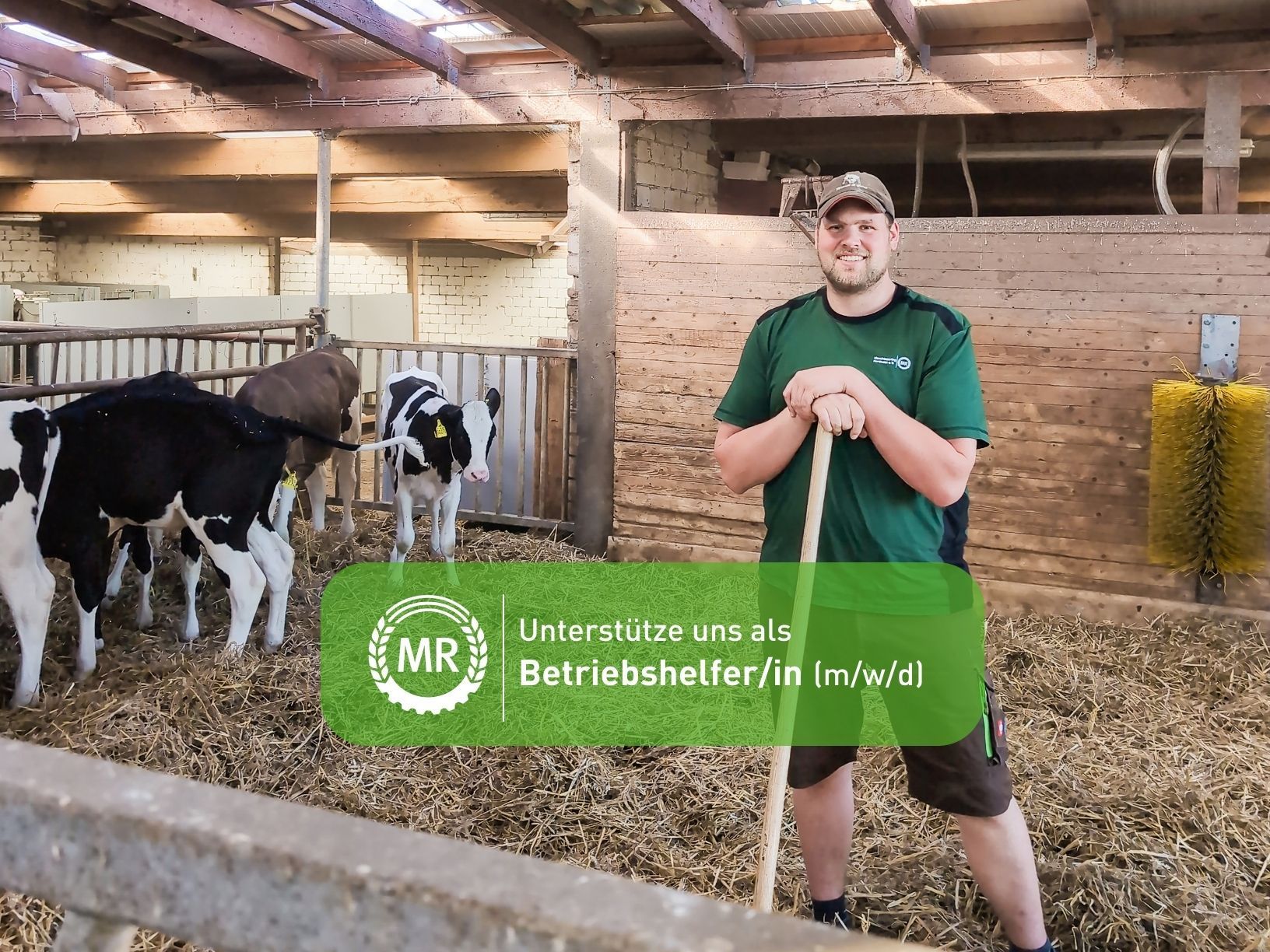 Betriebshelfer im Stall 
Titelunterschrift: Unterstütze uns als Betriebshelfer/in (m/w/d)