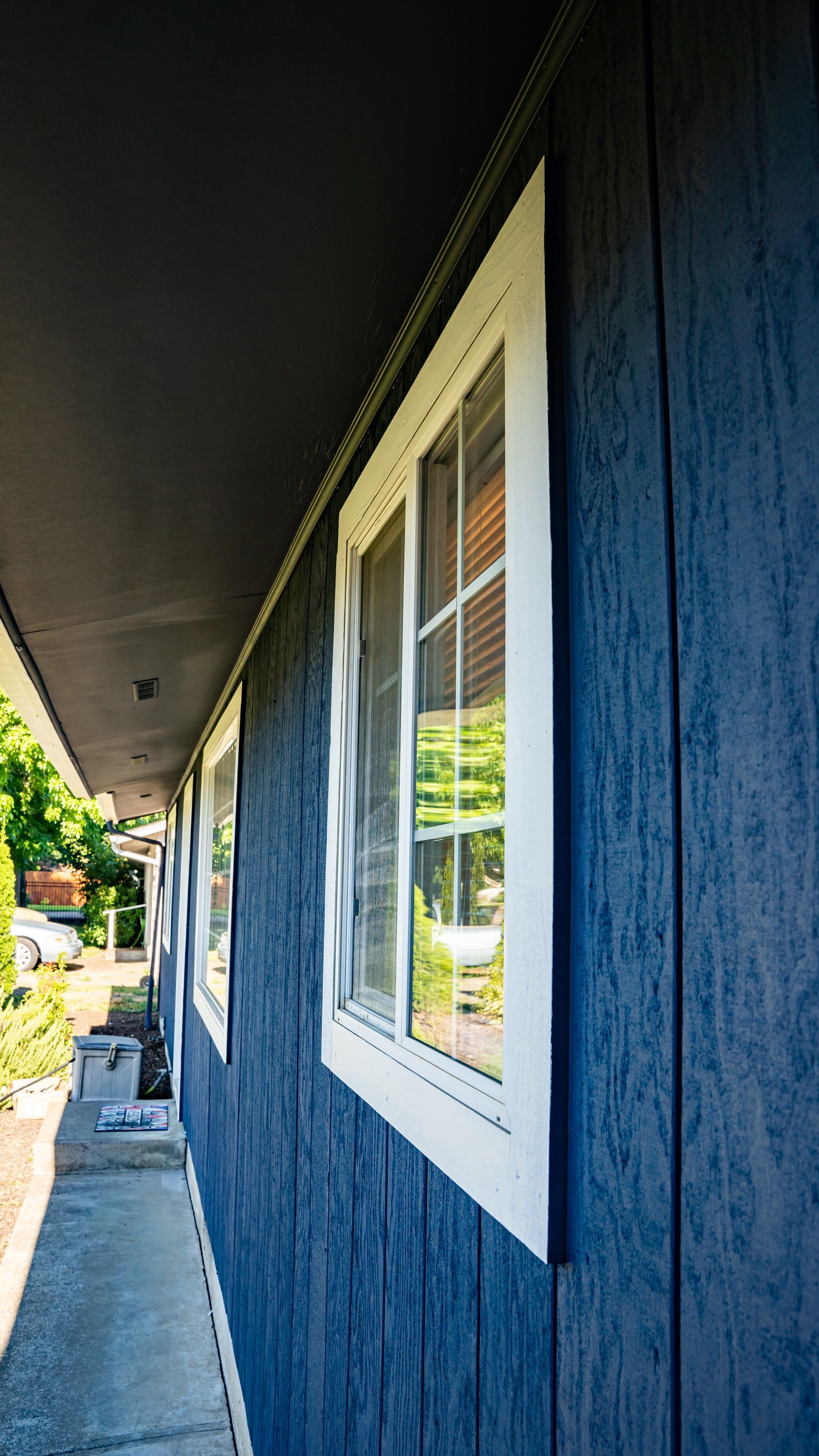 Exterior house painting