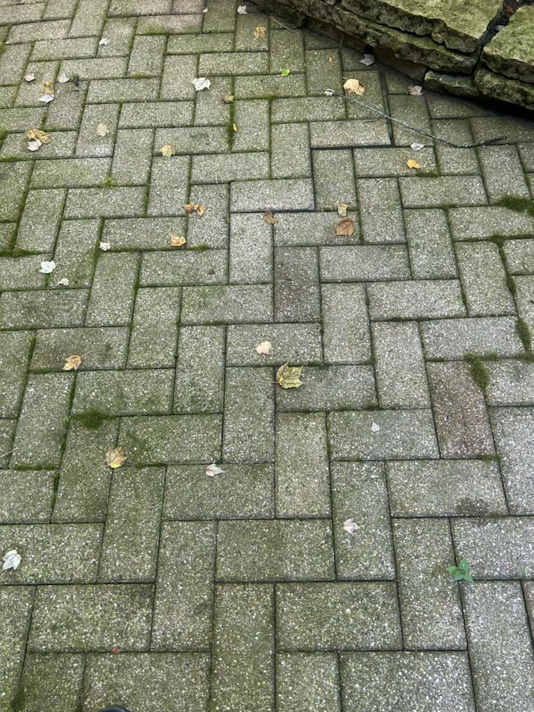A close up of a brick walkway with moss and leaves on it.