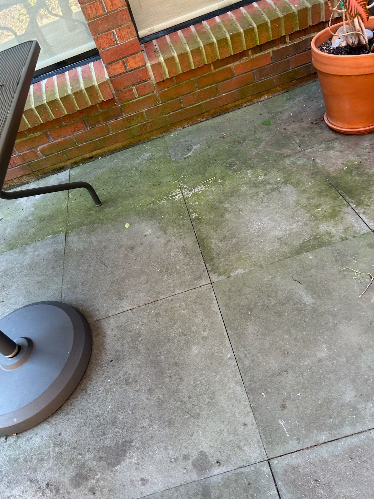 A patio with a table and chairs and a potted plant.