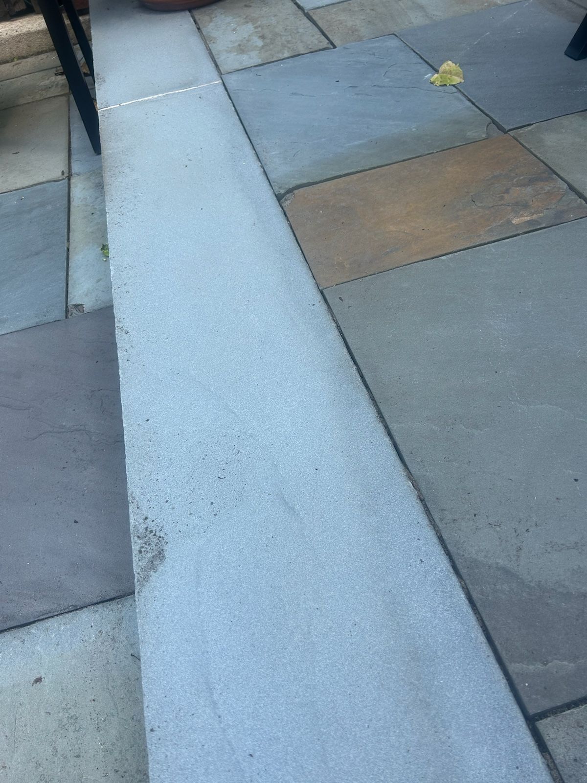 A concrete walkway with a leaf on it