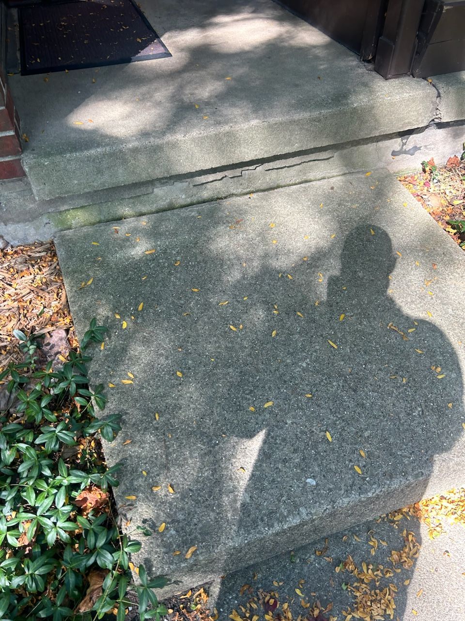 A shadow of a person is cast on a concrete sidewalk.