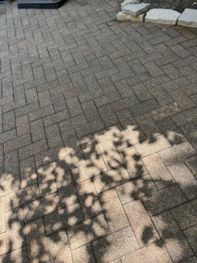 A shadow of a tree is cast on a brick sidewalk.