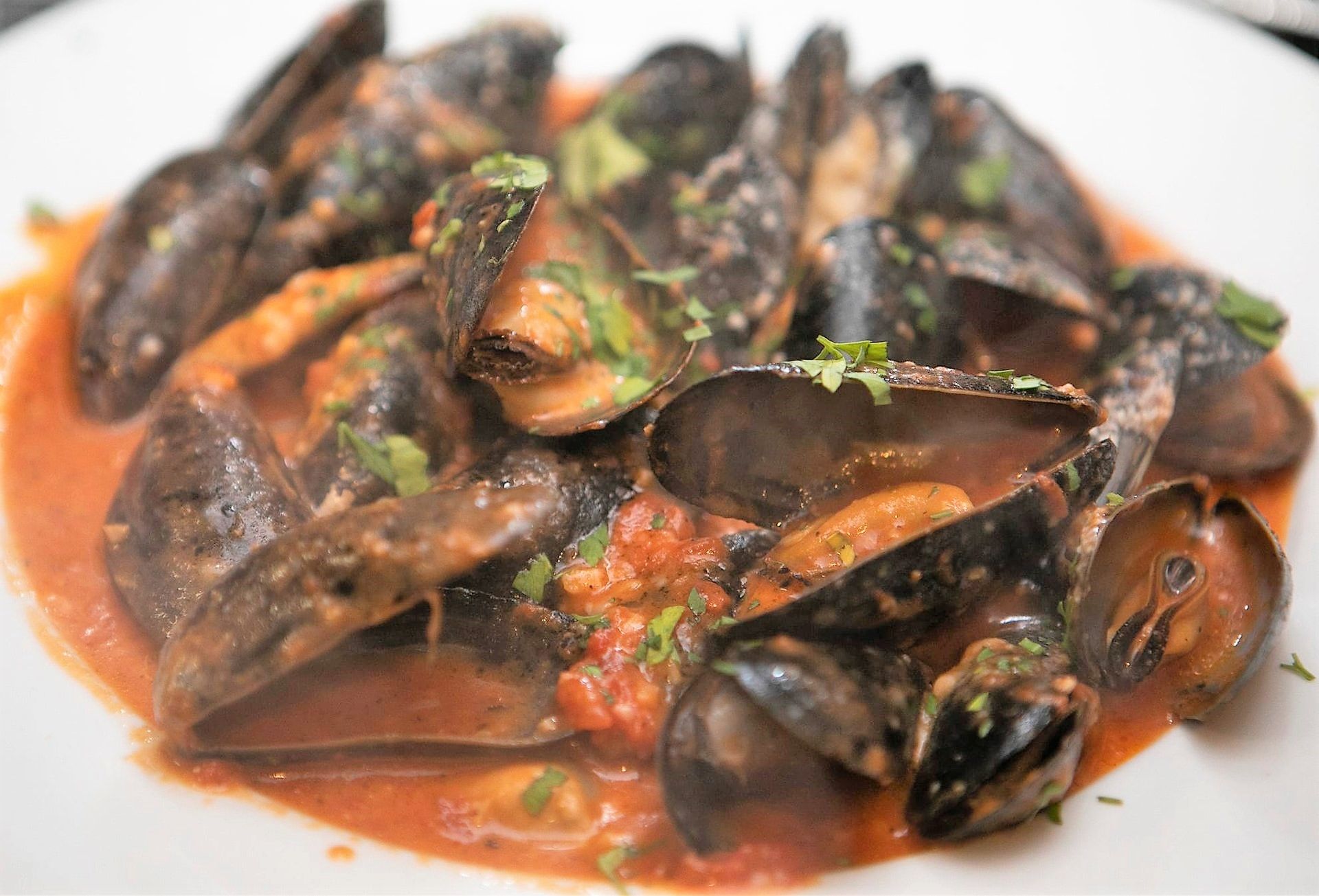 A close up of a plate of mussels in sauce on a table.